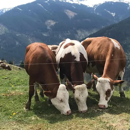 Urlaub Am Steininggut Apartmán *