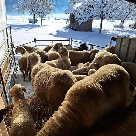 Urlaub Am Steininggut Saalfelden